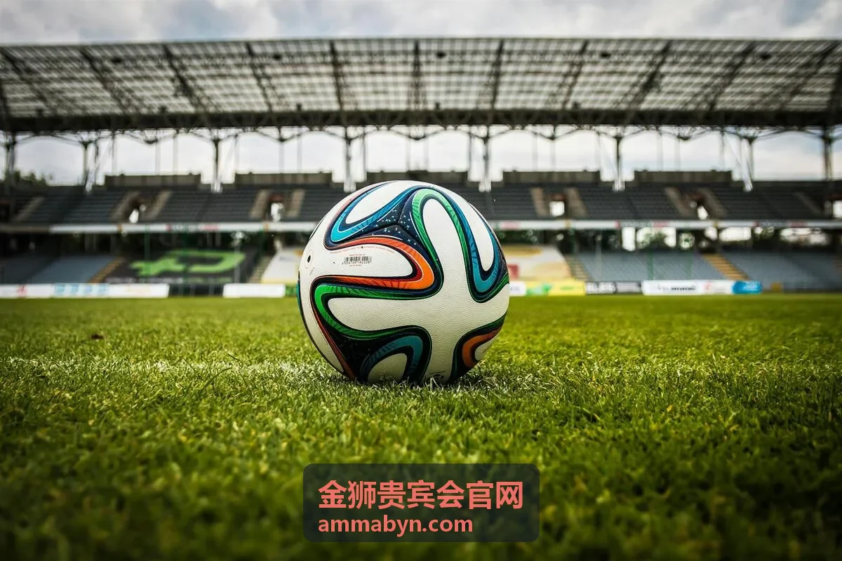 金狮贵宾会品牌庆典活动