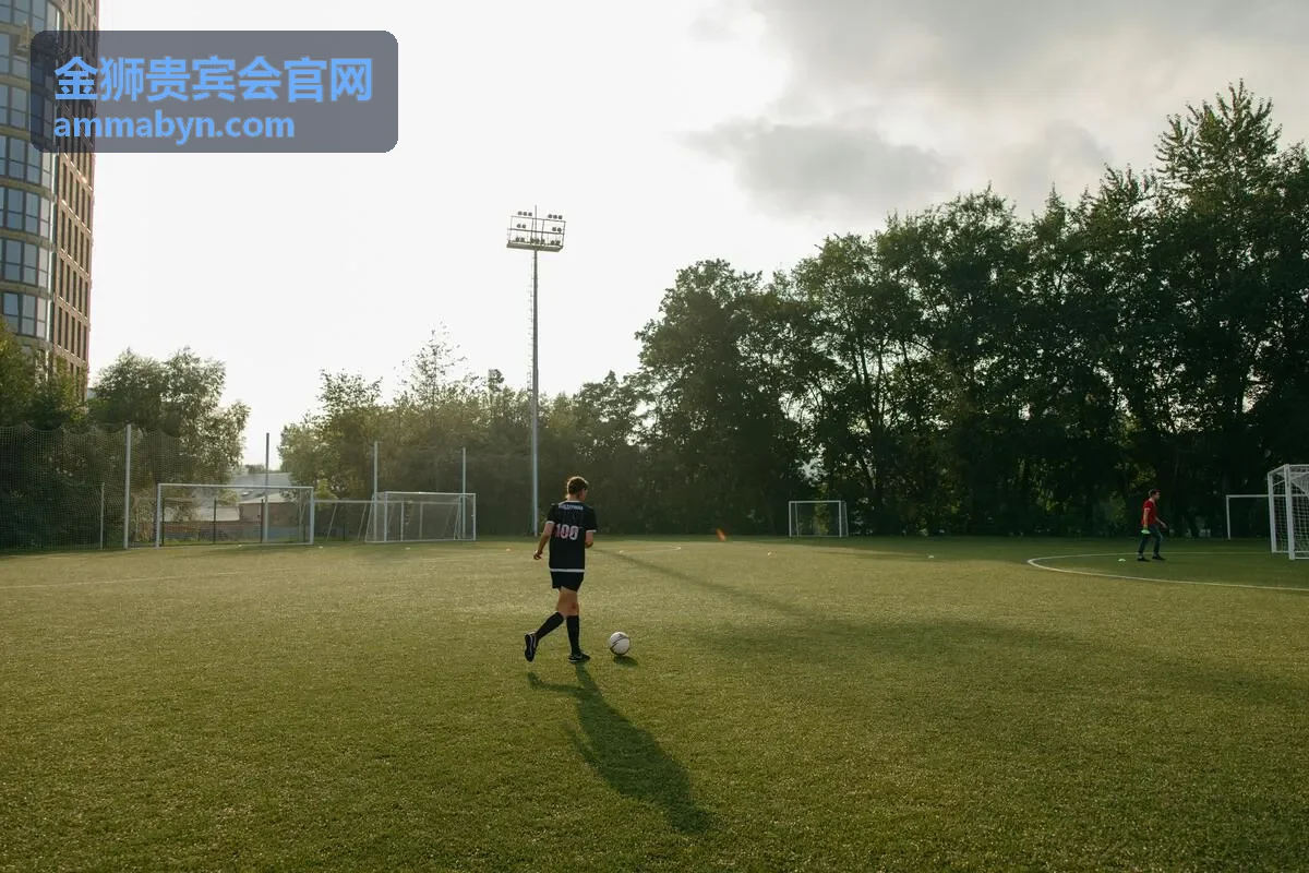 金狮贵宾会私密董事会议